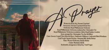 CD Stewart Copeland: Divine Tides