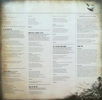 2LP The Steel Woods: Straw In The Wind