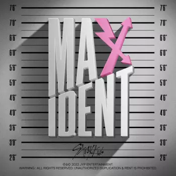 Stray Kids: Maxident