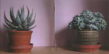 CD Stuart A. Staples: Lucky Dog Recordings 03-04