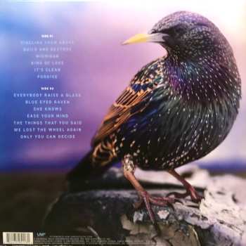 LP Styx: Circling From Above