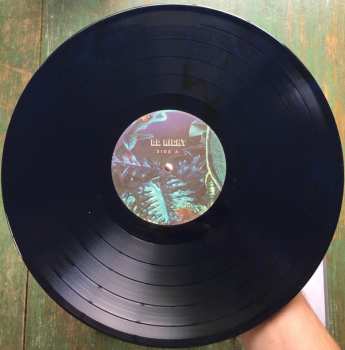 LP Sugar Candy Mountain: Do Right LTD | CLR