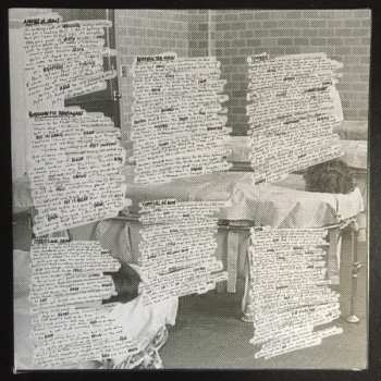 LP Sum 41: 13 Voices CLR