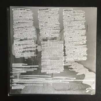 LP Sum 41: 13 Voices CLR