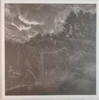 LP Sumerlands: Sumerlands CLR | LTD