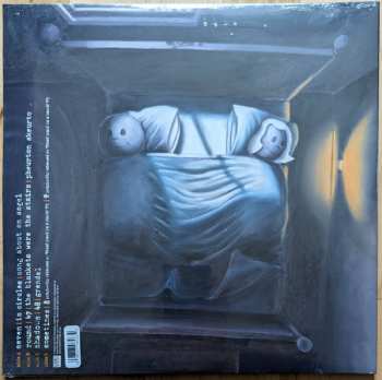 2LP Sunny Day Real Estate: Diary LTD