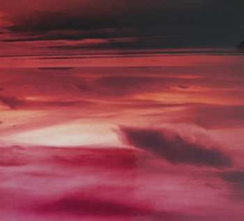 CD Sunshine Recorder: Mango Midnight