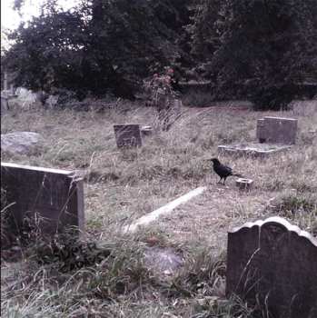 Album Súper Cadáver: Súper Cadáver