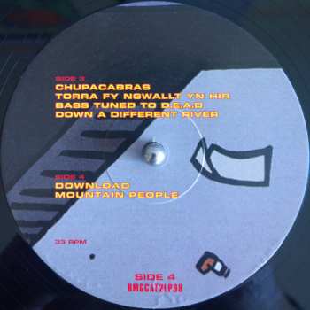 2LP Super Furry Animals: Radiator