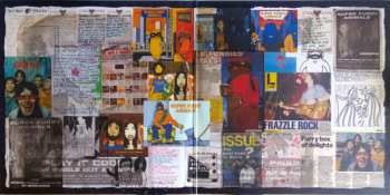 2LP Super Furry Animals: Radiator