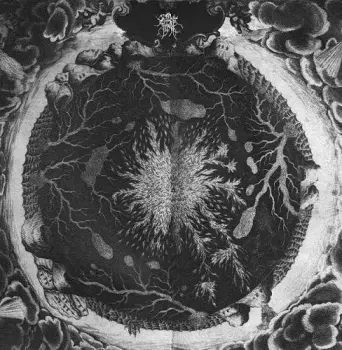 Luciform