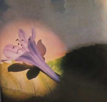 CD Suzzy Roche: Zero Church