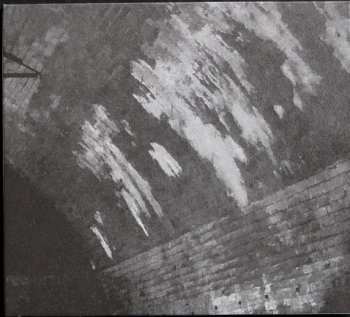 Album Svarte Greiner: Devolving Trust