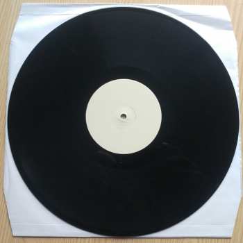 LP Svetlanas: Disco Sucks