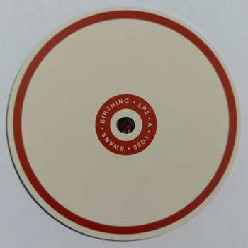 2CD Swans: Birthing