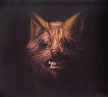Album Swans: The Seer