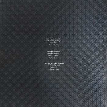 2LP Sweet Billy Pilgrim: Motorcade Amnesiacs