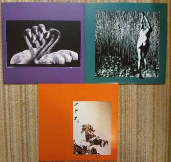 3LP Sweet Williams: Four Five LTD