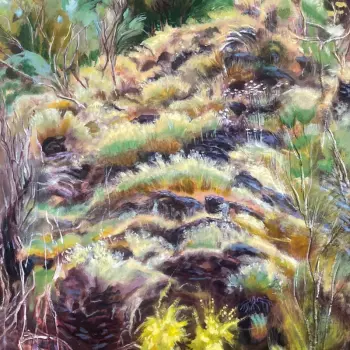 Swim Surreal: In The Half Light