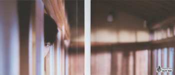 CD Taeyong: Tap DIGI