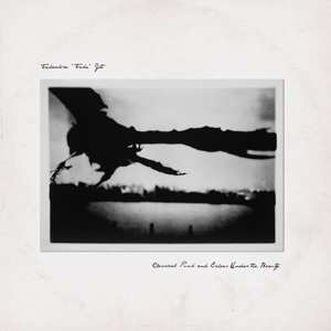 Album Takaakira Goto: Classical Punk And Echoes Under The Beauty