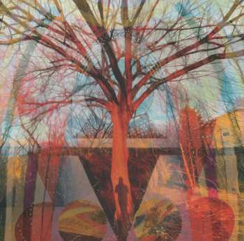 LP/SP Tall Tall Trees: Stick To The Mystical I CLR | LTD | NUM