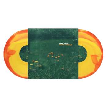 Album Tamas Katai: Erika Szobája