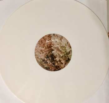 LP Tautumeitas: Dziesmas No Aulejas - Songs From Auleja