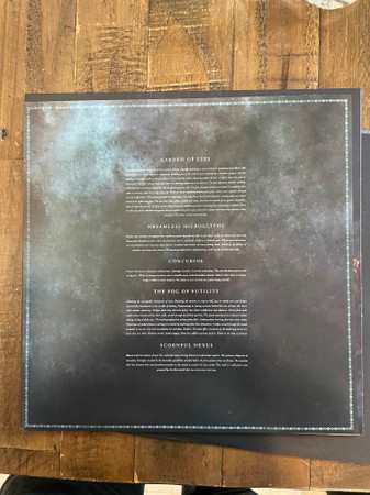 LP Teeth: Finite CLR | LTD