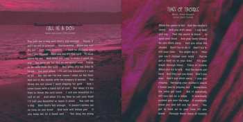 2CD/DVD/Caja/Blu-ray Temple Of The Dog: Temple Of The Dog DLX | LTD