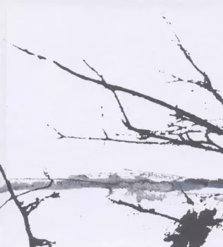 Tenhi: Väre