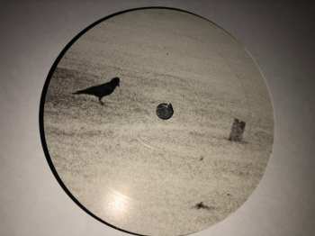 LP Fink: Certain Angles