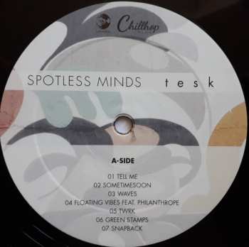 LP Tesk: Spotless Minds