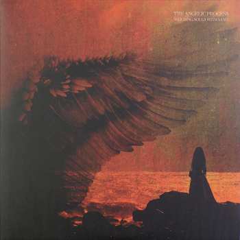 6LP/Caja The Angelic Process: We All Die Laughing DLX | LTD