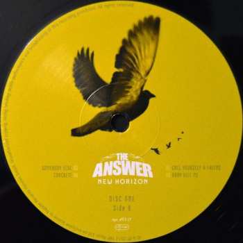 2LP The Answer: New Horizon LTD