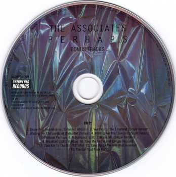 2CD The Associates: Perhaps