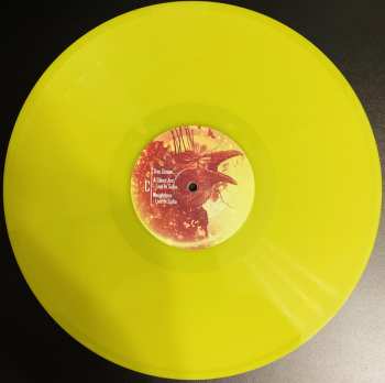 2LP Evergrey: The Atlantic: A Collectors Edition LTD | CLR