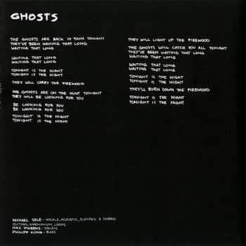 CD The Beauty Of Gemina: Flying With The Owl