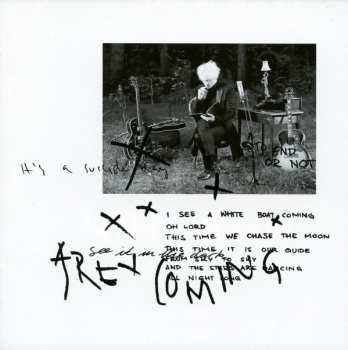 CD The Beauty Of Gemina: Flying With The Owl