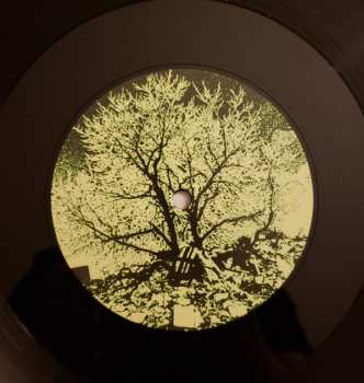 2LP The Bevis Frond: New River Head