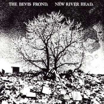 2CD The Bevis Frond: New River Head