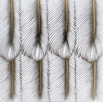 3LP The Black Crowes: Croweology LTD | CLR