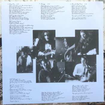 2LP The Black Crowes: The Southern Harmony And Musical Companion