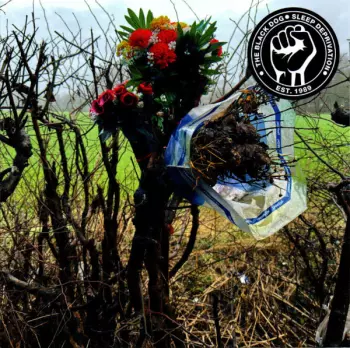 The Black Dog: Sleep Deprivation