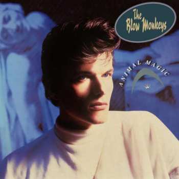 4CD The Blow Monkeys: Animal Magic