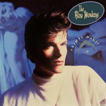 LP The Blow Monkeys: Animal Magic