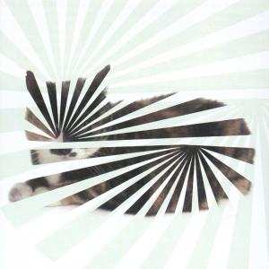 LP The Blow: Poor Aim: Love Songs