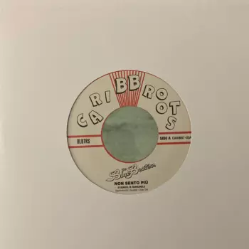 Non Sento Più 