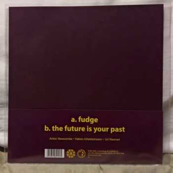 EP The Brian Jonestown Massacre: Fudge CLR