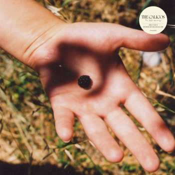 Album The Calicos: The Soft Landing